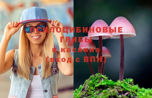 COCAINE Краснослободск