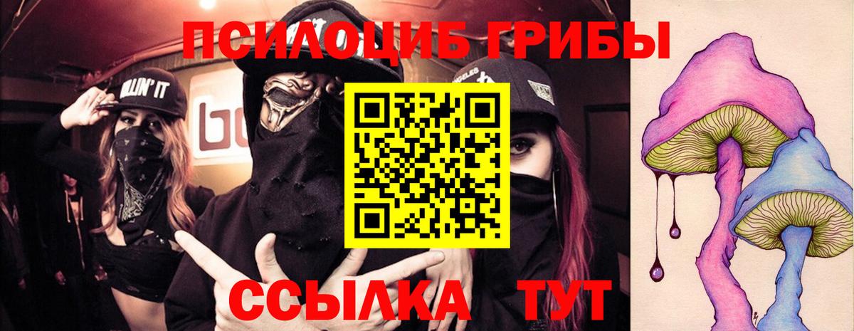Галлюциногенные грибы Psilocybe  Усинск 