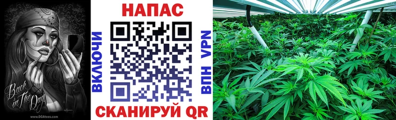 Бошки Шишки OG Kush  Усинск 